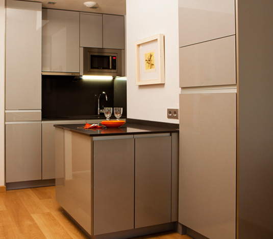 Proinca offers you furnished rental flats in Madrid with kitchens equipped with all of the appliances