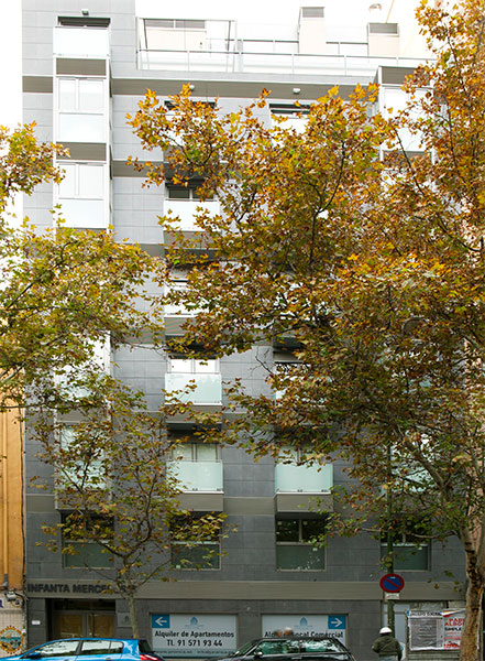Facade Proinca Infanta Mercedes building