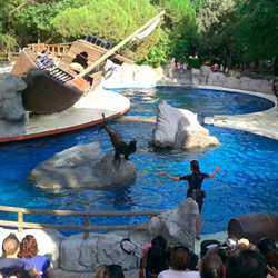 Proinca-the-Zoo-Aquarium-of-Madrid-1