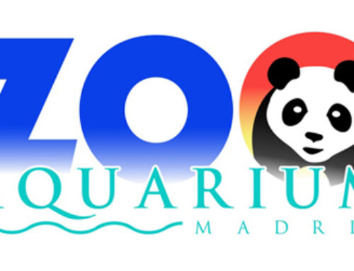 ZOO AQUARIUM IN MADRID, OBLIGED VISIT FOR THE LITTLE ONES IN THE FAMILY