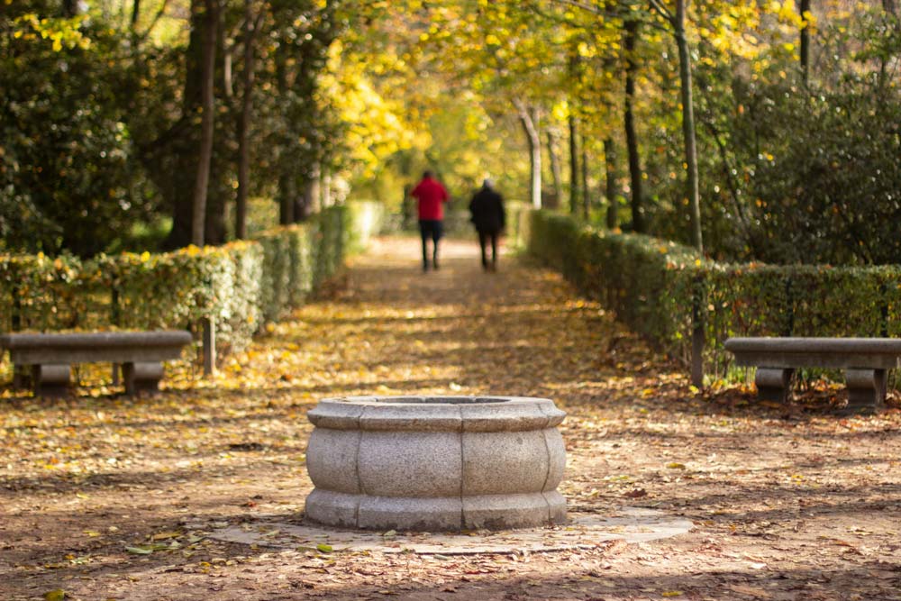 An autumn day to feel free and enjoy in Madrid