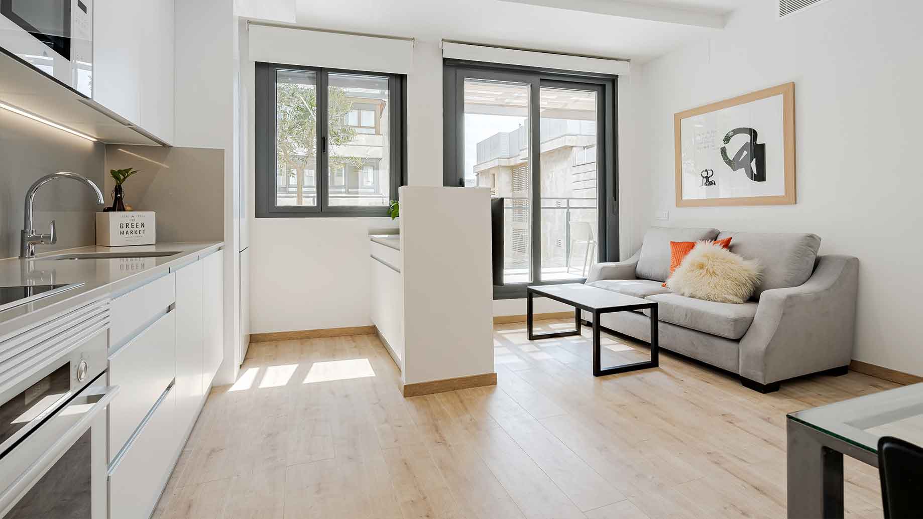 furnished flat for rent for young professionals in Madrid furnished flat for rent for young professionals in Madrid